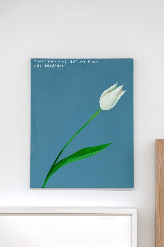 20220709 Alex Fischer Giving Entry NAMARA projects 32 I may look fine, but my roots are desperate artwork